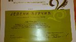 Годишња награда професорки Јелени Ћурчић
