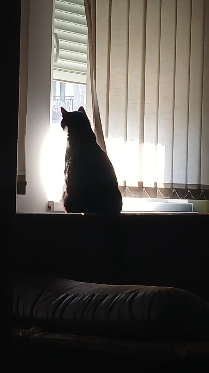Nagrada na foto konkursu &#8222;Moj ljubimac“