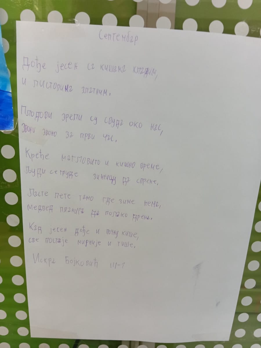 Stihovi jedne male pesnikinje